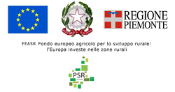 Fondo Europeo Agricolo per lo Sviluppo Rurale (FEASR)