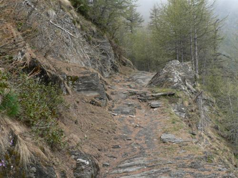 Sentiero Colle della Croce