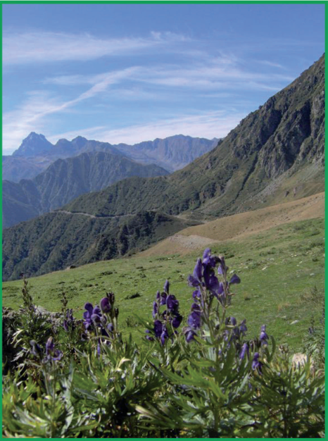 Bobbio Pellice - Villanova ...